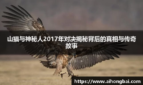 山猫与神秘人2017年对决揭秘背后的真相与传奇故事